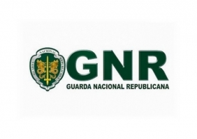 Apreendidas cerca de 1.000 camisolas desportivas contrafeitas em encomendas no Algarve