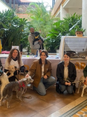 ARA fecha 2025 com resgates, adoções e denúncias de maus-tratos no Algarve