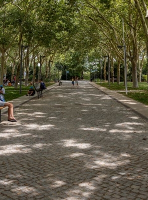 REDE DE REFÚGIOS CLIMÁTICOS NO CONCELHO DE LOULÉ