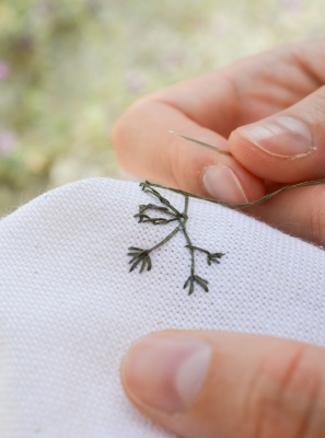 Alfaia recebe «Ecologia Quotidiana», primeira exposição a solo de Inês Coelho da Silva 