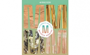 «Matéria Adentro» promove inovação com materiais endógenos no Algarve