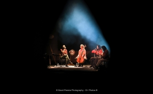 MED, SOM RISCADO, CARNAVAL E NOITE BRANCA NA CORRIDA PARA OS IBERIAN FESTIVAL AWARDS