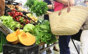 Mercado Municipal de Portimão abre hasta pública sobre módulo para comercialização de produtos hortofrutícolas