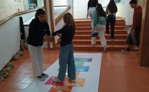 Olhão celebra aniversário da Ria Formosa com atividades ambientais