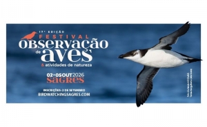 Estão abertas as inscrições para o Festival de Observação de Aves em Sagres