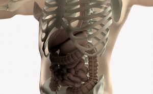 É preciso mais sensibilização e apoio para as pessoas com Síndrome do Intestino Curto