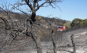 Lagos apoia constituição do Dispositivo Especial de Combate a Incêndios Rurais 2020