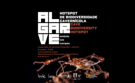 HOTSPOT DE BIODIVERSIDADE CAVERNÍCOLA DO ALGARVE VAI TER EXPOSIÇÃO EM LISBOA