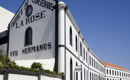 Rede de Museus do Algarve promove as 8AS Jornadas em Portimão sob o mote «O Poder dos Museus e do Património»