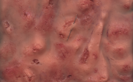 Dora Vieira inaugura «Homúnculo» no LAC com instalação sobre o corpo pós-humano