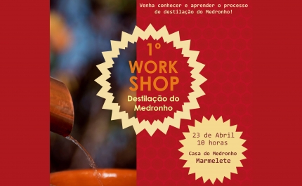 1.º Workshop Casa do Medronho