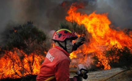 Monchique com risco máximo de incêndio