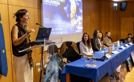 UAlg reuniu ciência, arte e pensamento em torno do oceano no workshop WeOcean