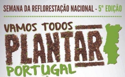 Monchique |  Semana da Reflorestação Nacional