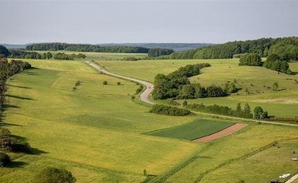 Governo prolonga cadastro simplificado gratuito até 30 de junho