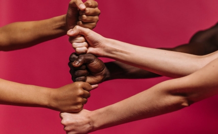 Câmara de Lagos tem novo Plano Municipal para a Igualdade e Não Discriminação