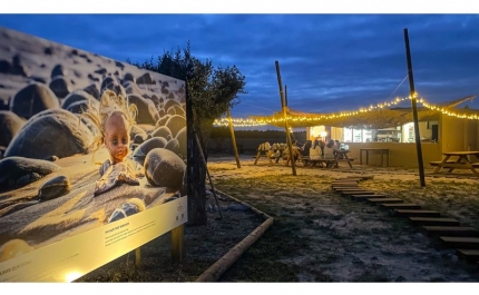 Exposição Waste 2 Arte | Lixo das praias da Costa Alentejana é matéria-prima para arte regenerativa
