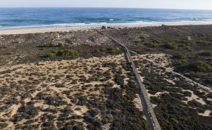 Concessionário de apoio balnear da praia da Terra Estreita vence concurso Areia Viva 2026