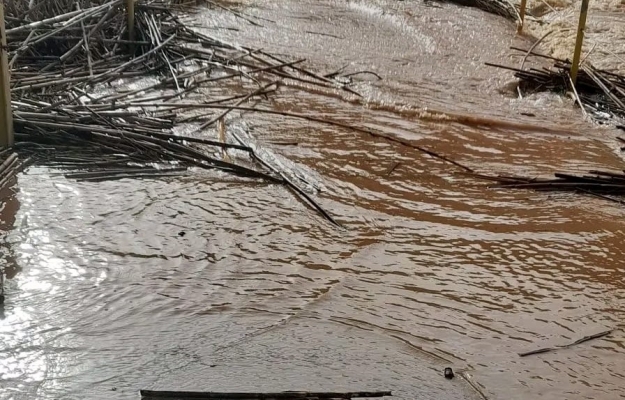 Mulher de 85 anos morre em Silves após veículo ser arrastado para ribeiro