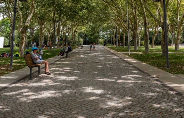 REDE DE REFÚGIOS CLIMÁTICOS NO CONCELHO DE LOULÉ