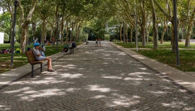 REDE DE REFÚGIOS CLIMÁTICOS NO CONCELHO DE LOULÉ