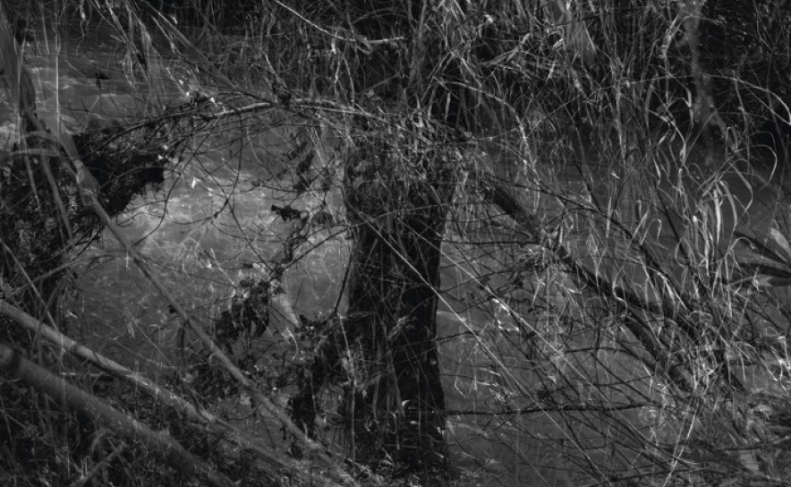 FOTÓGRAFO VASCO CÉLIO LEVA ODE À ESPERANÇA E ALEGRIA A LOULÉ