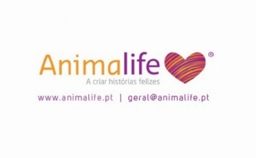 Campanha de maio do Banco Solidário Animal cancelada