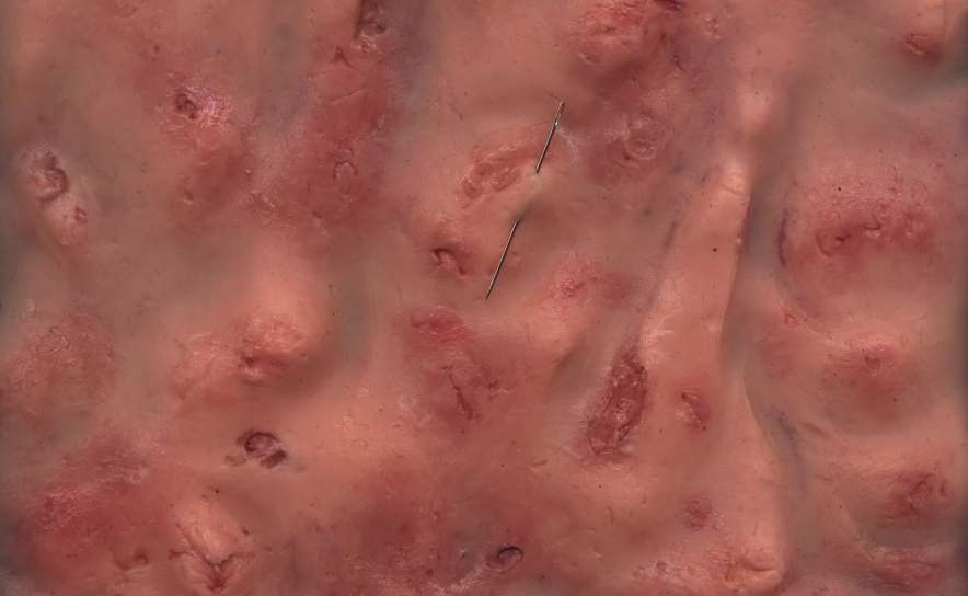 Dora Vieira inaugura «Homúnculo» no LAC com instalação sobre o corpo pós-humano