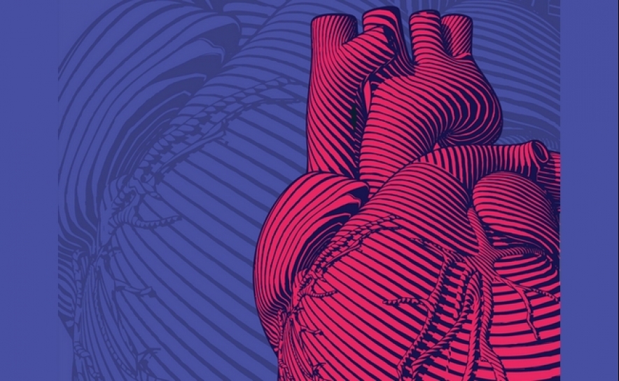 Cardiologia de Intervenção promove avanços no tratamento da doença valvular cardíaca