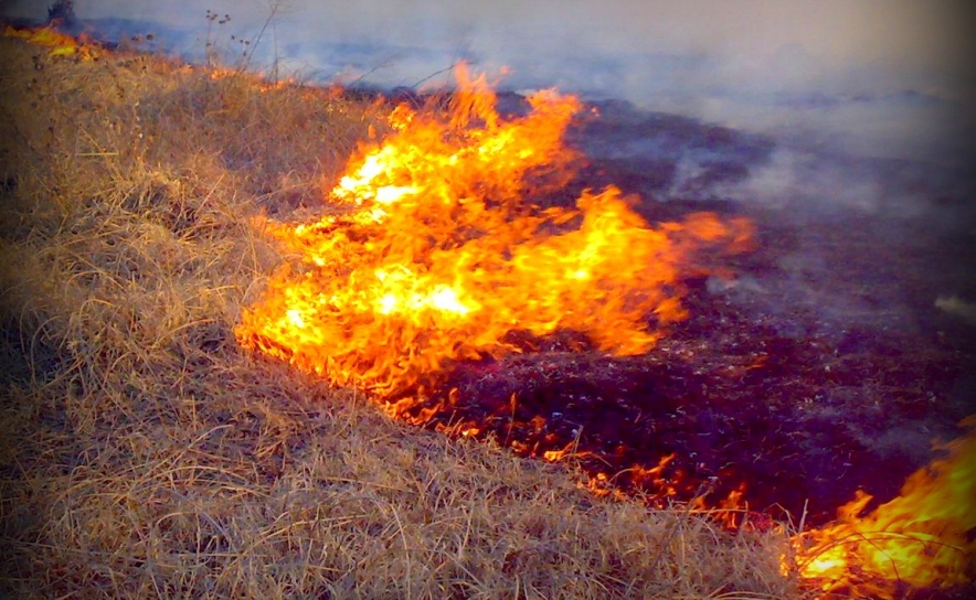 Mais de 160 operacionais e seis meios aéreos no fogo rural em Odemira