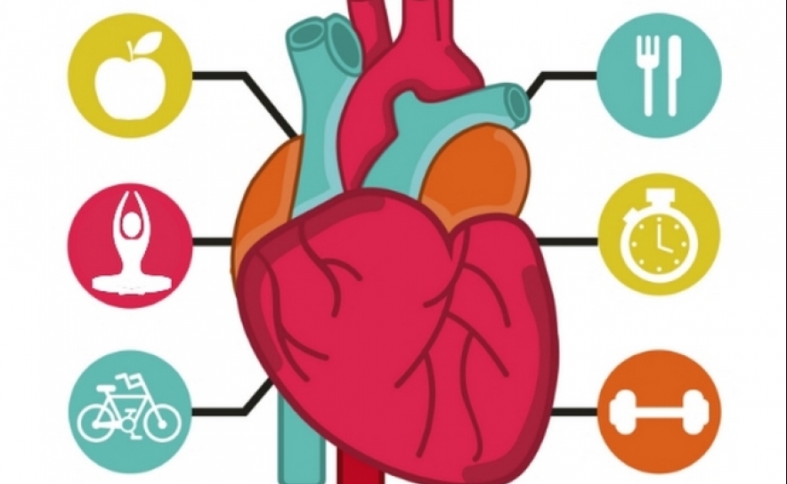 Cardiologistas de Intervenção fazem apelo para escolhas saudáveis neste natal