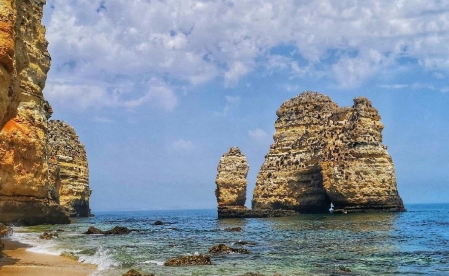 Observatório Marinho do Algarve reúne parceiros para mitigar impacto das algas invasoras