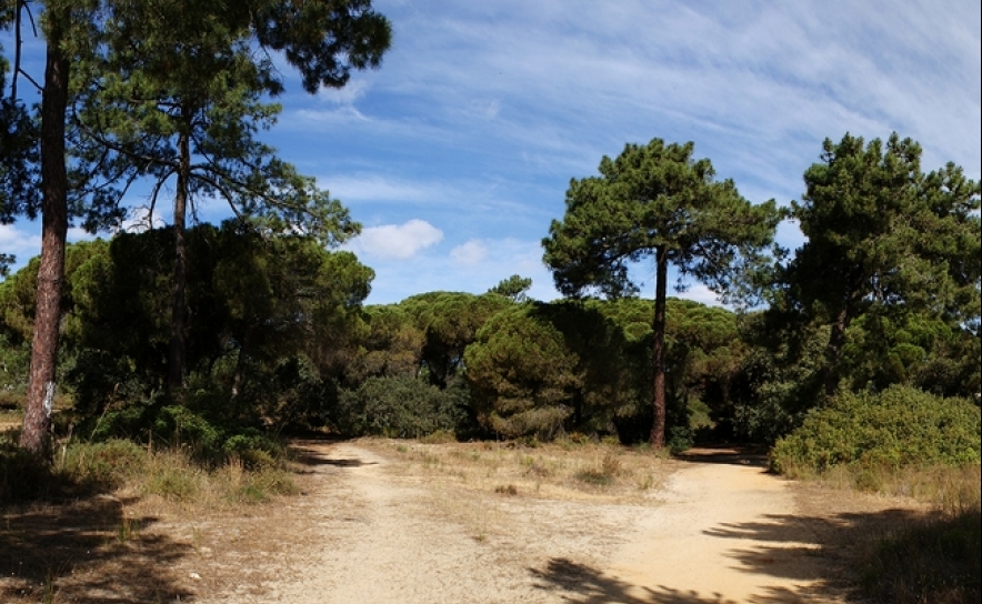 Município promove educação ambiental junto dos alunos do 4º ano