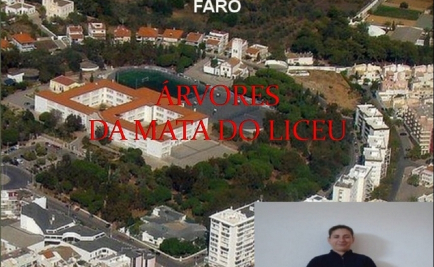 Carta Aberta ao Presidente da Câmara Municipal de Faro Projeto de requalificação da mata do liceu