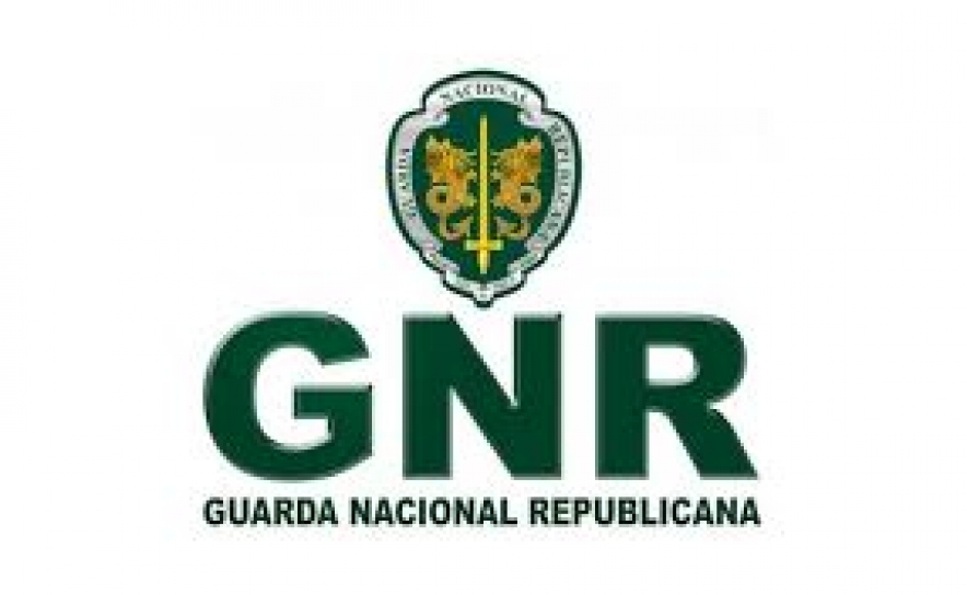 GNR e ICNF levantam 97 autos por campismo e autocaravanismo ilegal em Aljezur