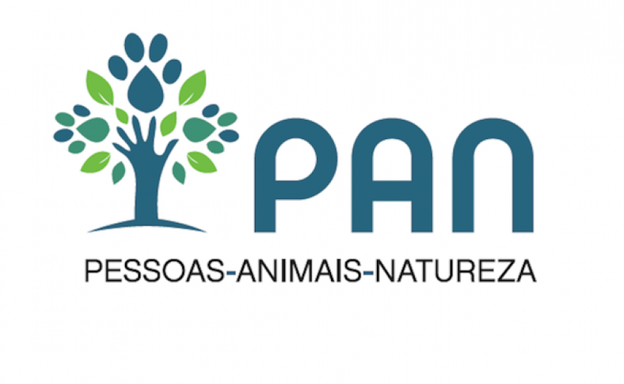 PAN pede suspensão do programa «Dolphins with Stars» 