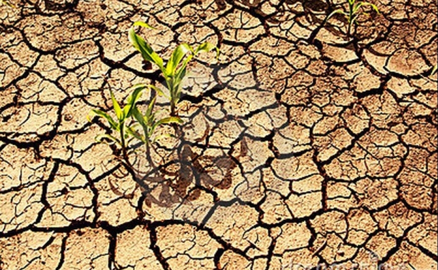 Continente com desagravamento, mas Baixo Alentejo e Algarve mantêm seca moderada