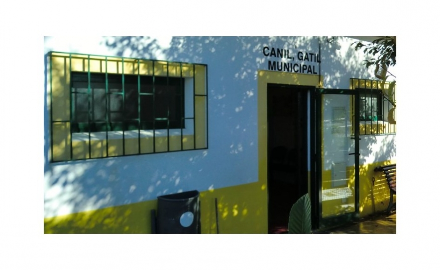 Câmara de Loulé abre processo disciplinar ao veterinário municipal