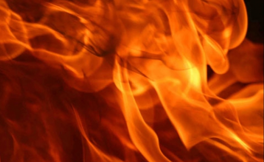 Incêndios: Mais de 23.000 hectares arderam nos primeiros sete meses do ano