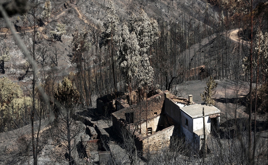 Bispo do Algarve lamenta demora na aplicação dos donativos às vítimas do fogo de Monchique