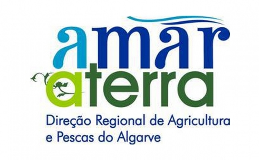 XI Encontro Regional de Apicultura da Região do Algarve 