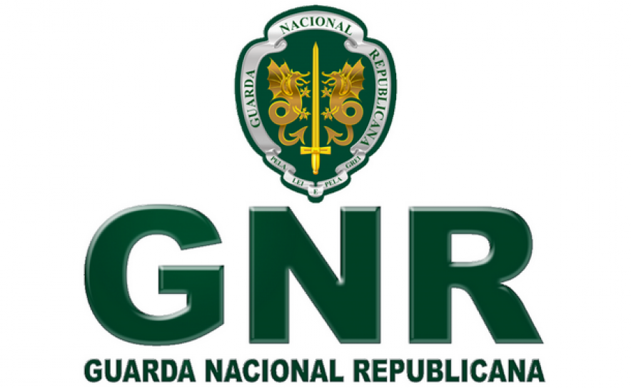 GNR apreende em Olhão cavala sem tamanho legal para comercialização