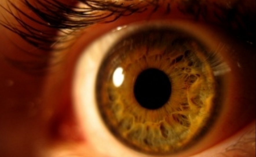 Envelhecimento da população determina «aumento significativo» dos doentes com glaucoma