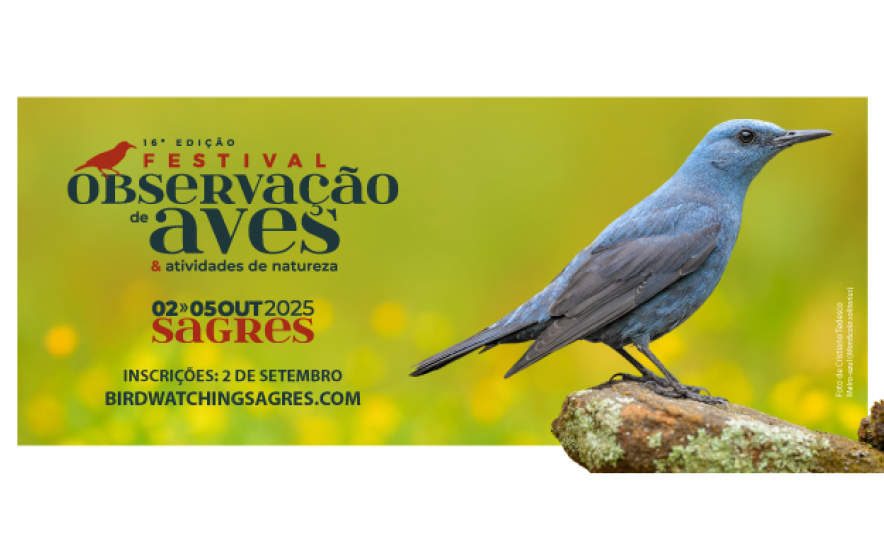 Festival de Observação de Aves e Atividades de Natureza começa amanhã em Sagres