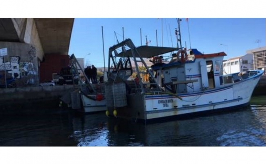 Polícia Marítima apreende mais de 160 kg de bivalves a embarcações com tripulação espanhola