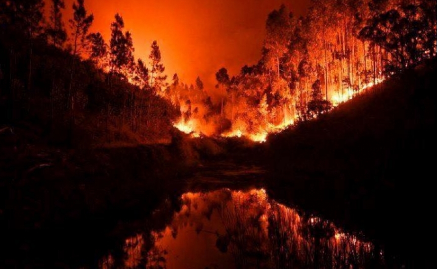 Incêndios: Um dos maiores fogos queimou 41 mil hectares em 2003