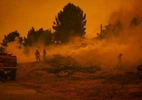 Fogos já consumiram mais de 172 mil hectares este ano, 32 mil entre sábado e domingo