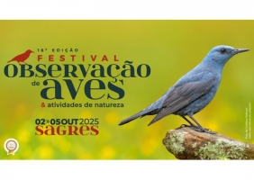 Abrem hoje as inscrições para o maior festival de aves e natureza do país