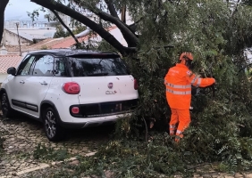 Depressão Kristin provoca mais de 250 ocorrências no concelho de Loulé