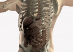 É preciso mais sensibilização e apoio para as pessoas com Síndrome do Intestino Curto